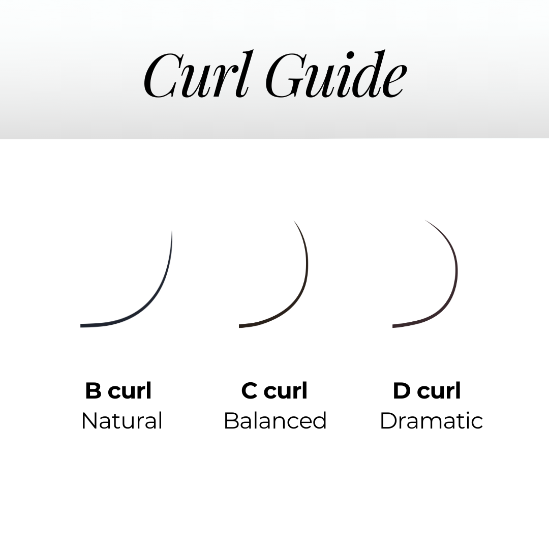 6D Premade Volume Fans Ultra Dark Long Stem