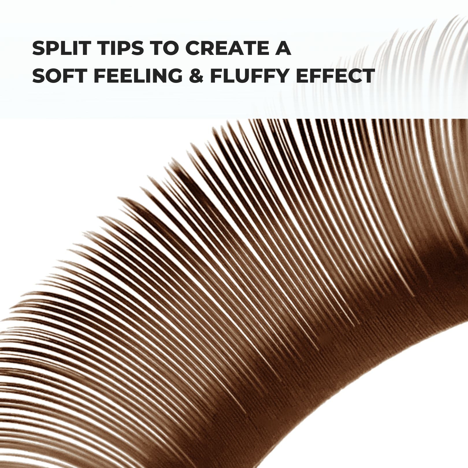 Latte brown flat lashes