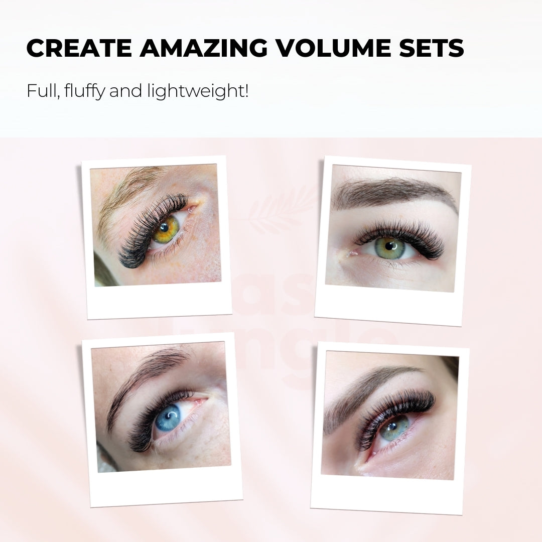 6D Loose Promade Fans - 1000 Premade Volume Lashes Loose fans