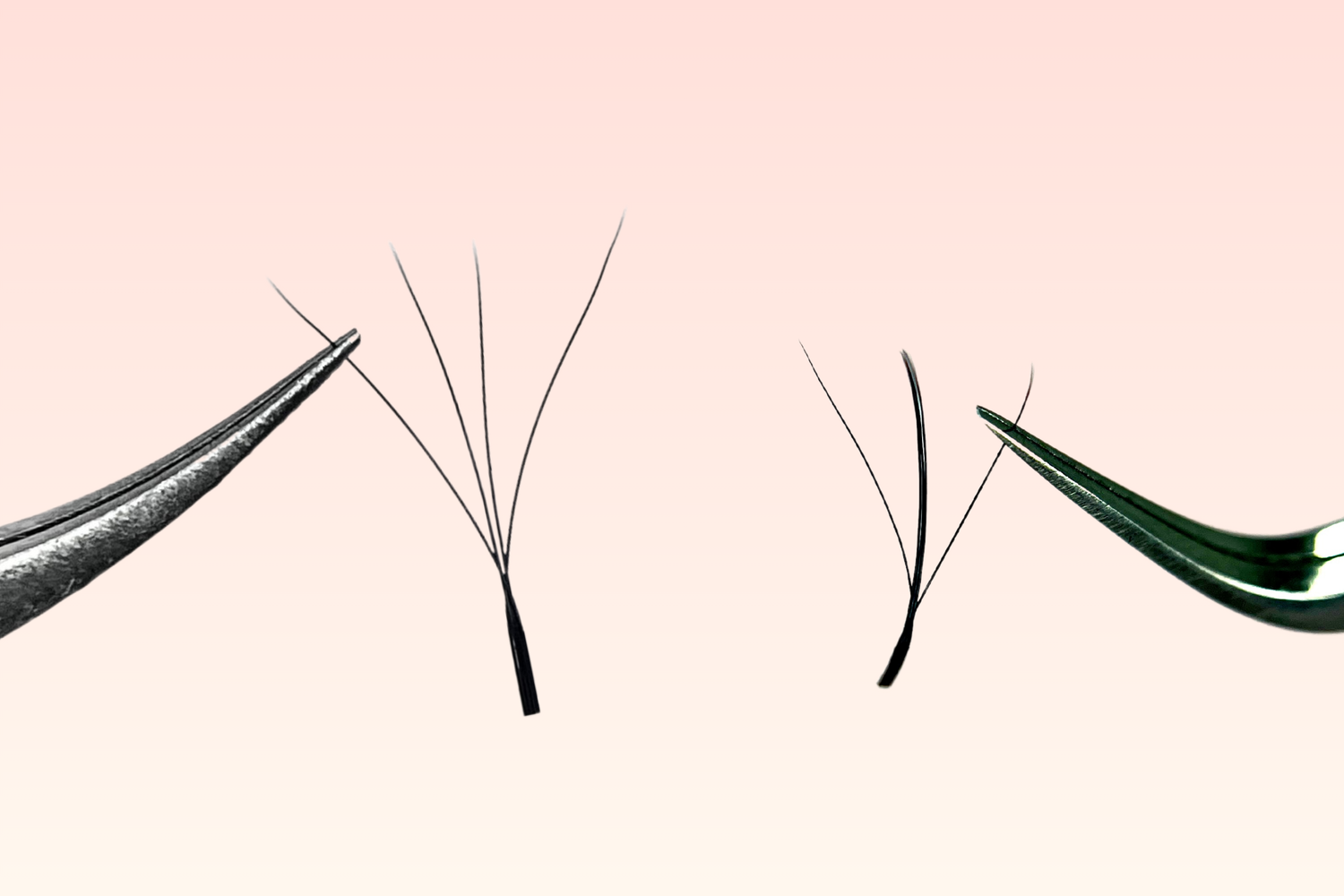 YY Lashes &amp; W Lashes