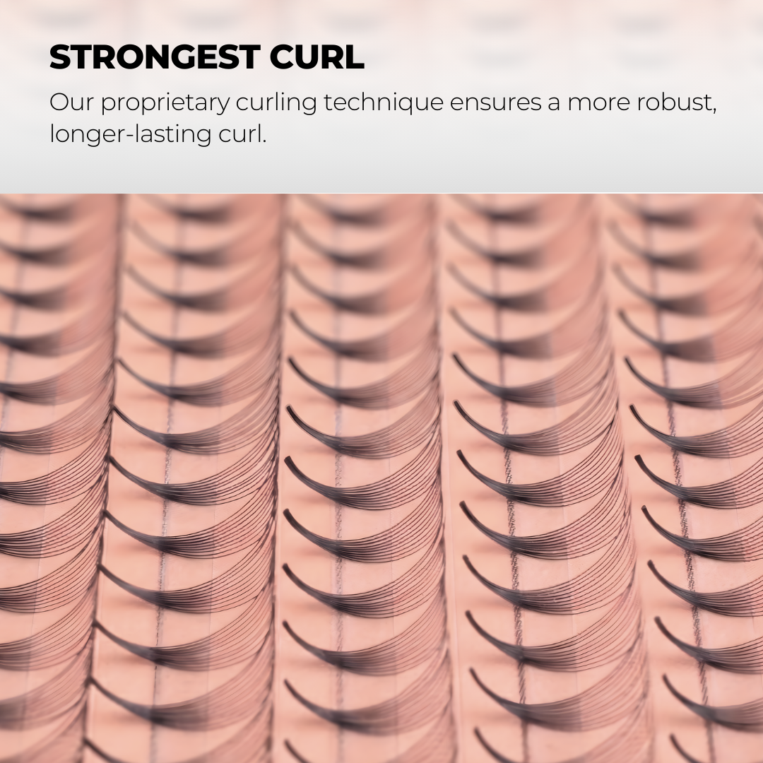 14D Premade Volume Fans Ultra Dark Short Stem