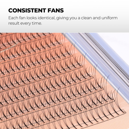 3D Premade Volume Fans Ultra Dark Long Stem