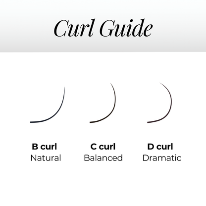 5D Premade Volume Fans Ultra Dark Long Stem