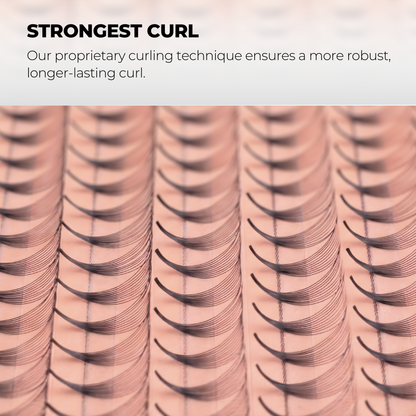 6D Premade Volume Fans Ultra Dark Long Stem