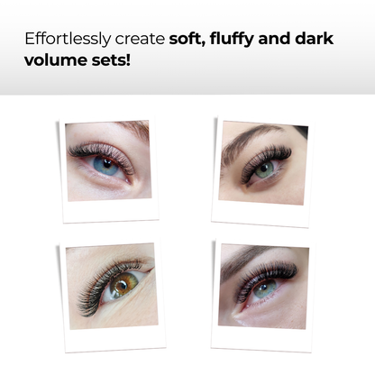 6D Premade Volume Fans Ultra Dark Pointy Stem