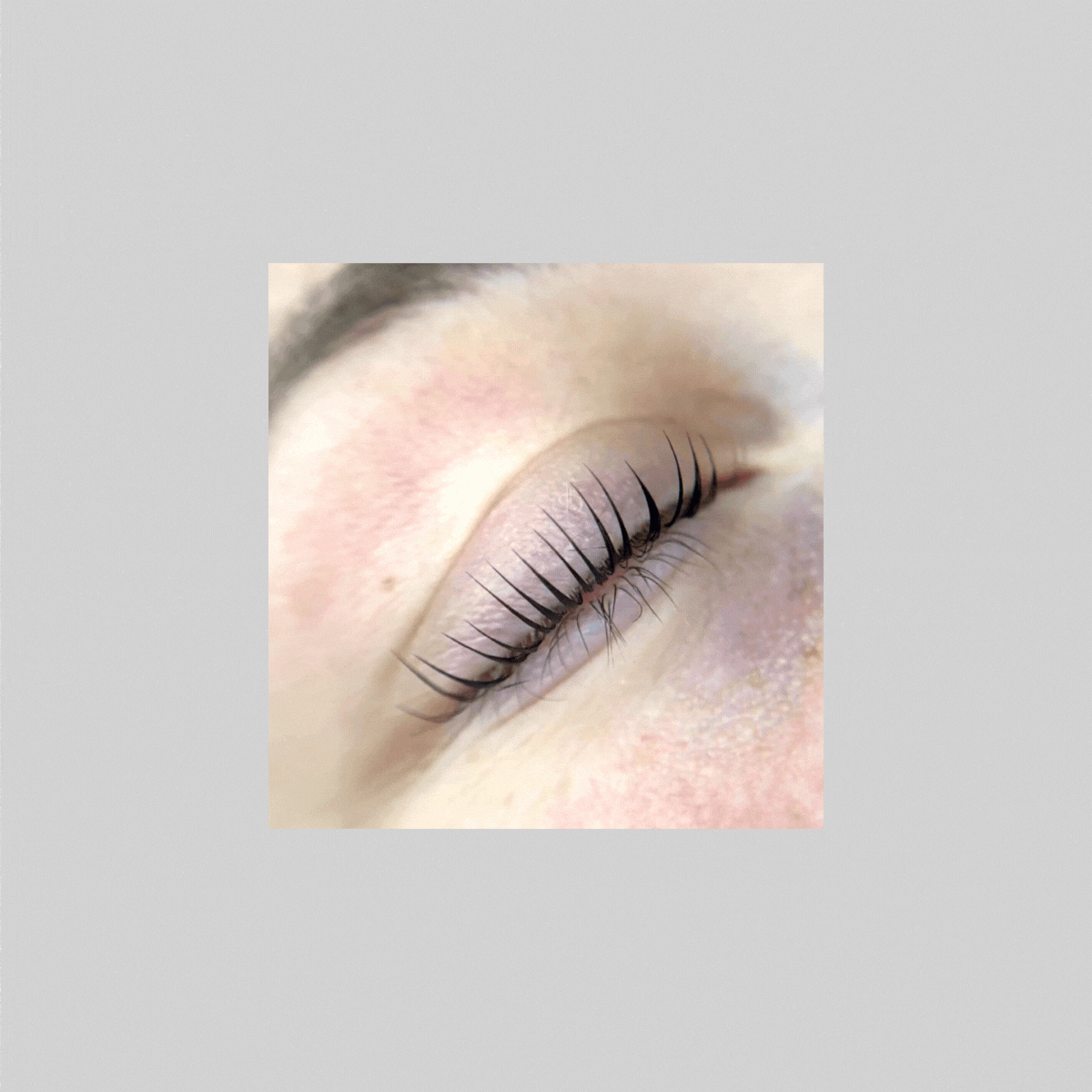 Re;Form Step 2 Lash Lift &amp; Brow Lamination | Alba