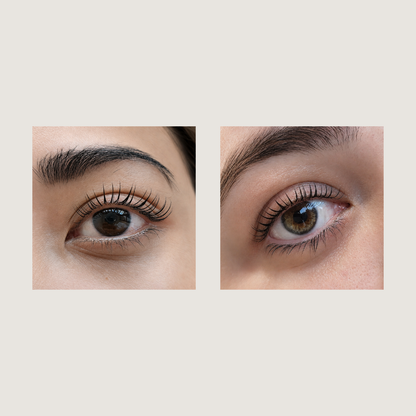 C curl Lash Lifting Shields | Alba
