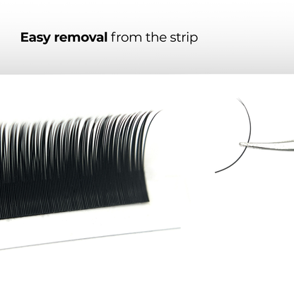 Classic Lashes Bundle