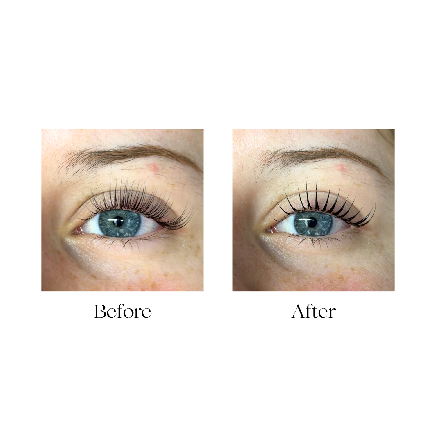 Fix &amp; Finish | Alba