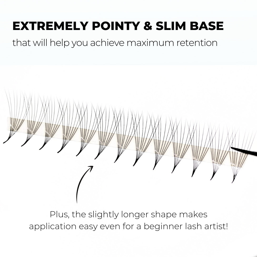 6D Promade Fans Instant Setup 1000 Lash Jungle