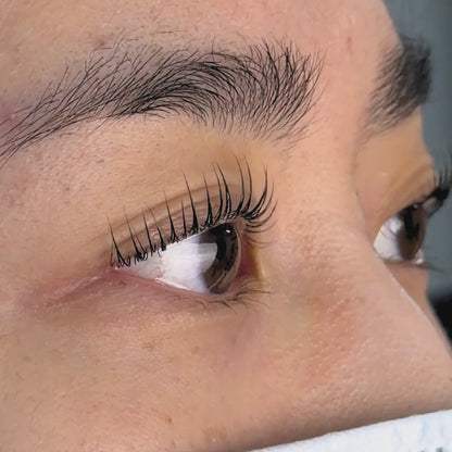 UltraLift Lash Lifting Shields | Alba